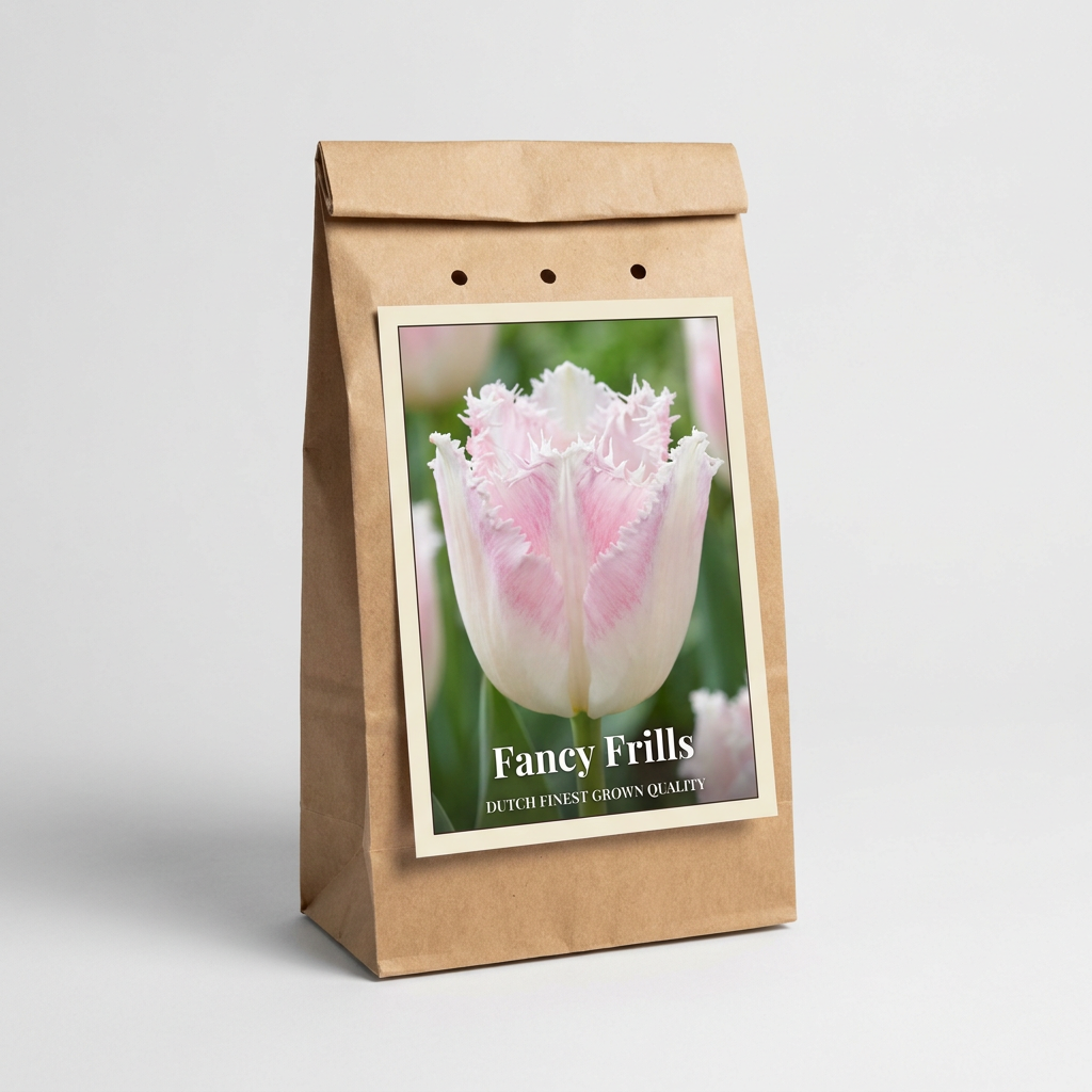 Tulpan Fancy Frills 7-pack