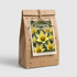 Tulpan Clusiana Tubergiana 10-pack