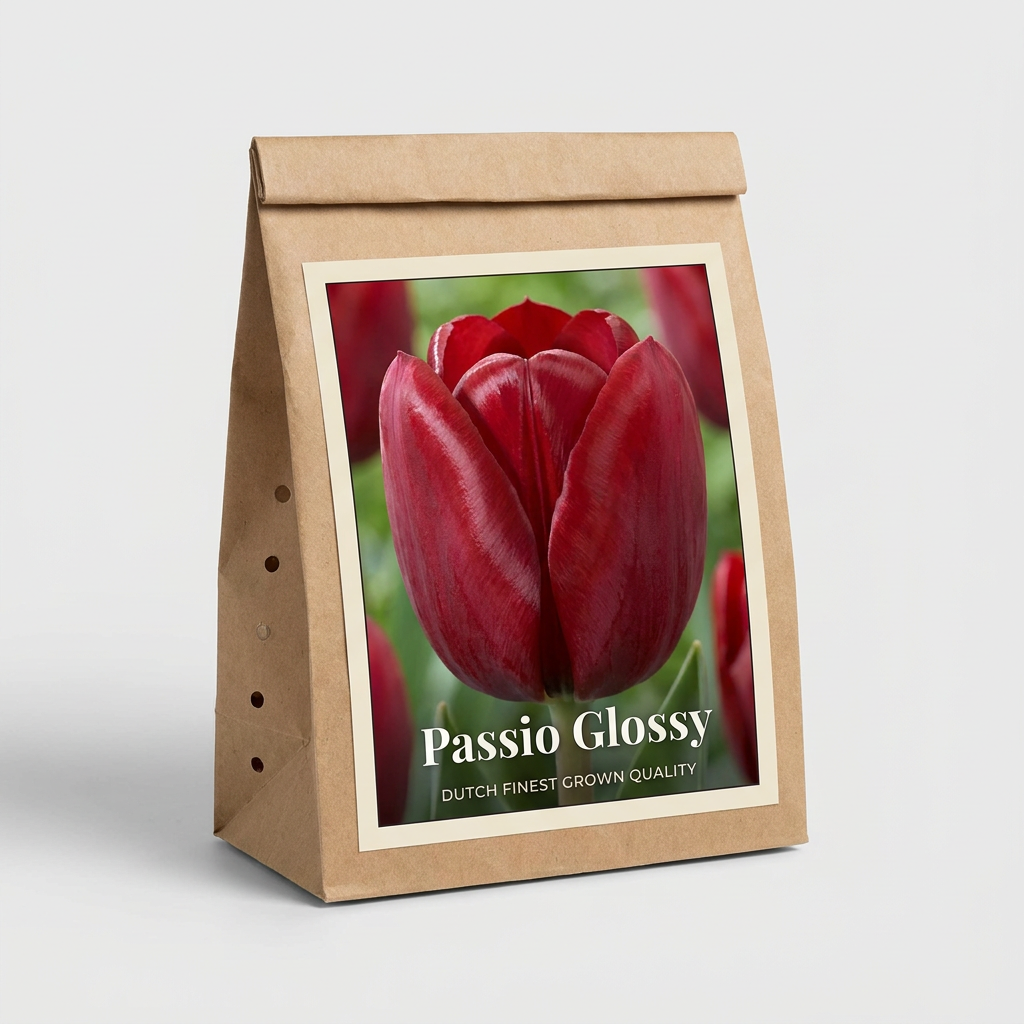 Tulpan Passio Glossy 7-pack