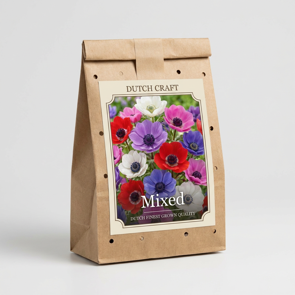 Anemone Mixed 20-pack