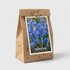 Scilla Siberica 15-pack