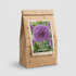 Allium Gladiator 2-pack