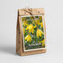 Tulpan Sylvestris 10-pack