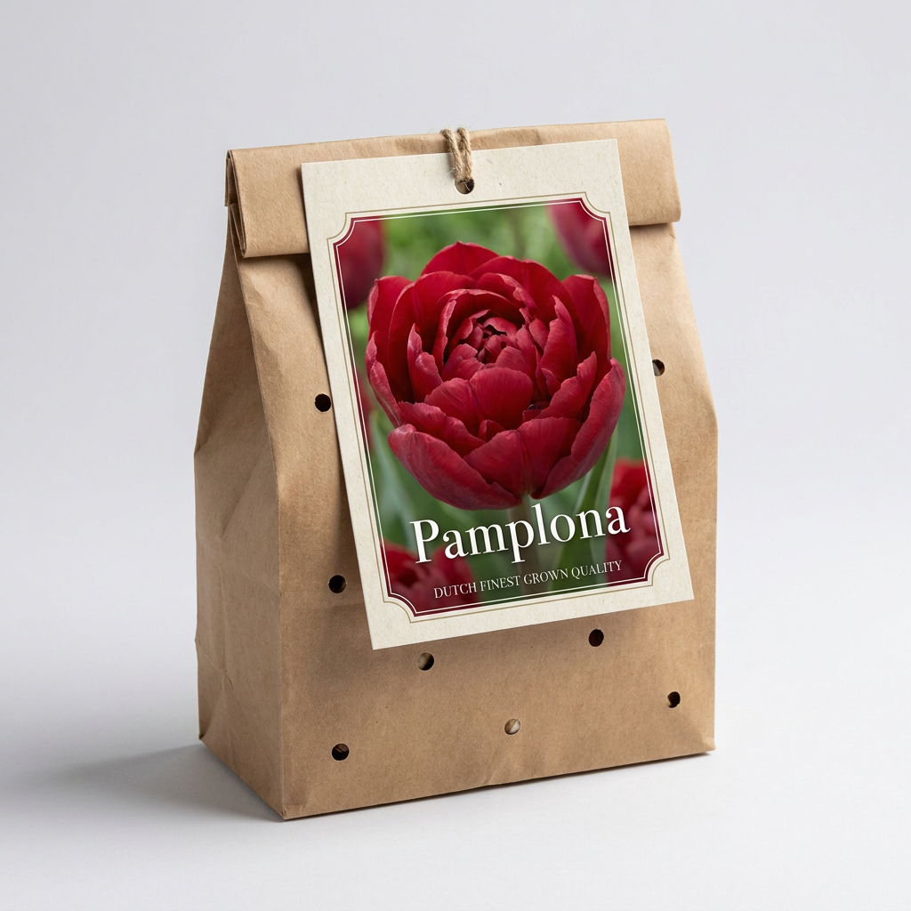Tulpan Pamplona 7-pack