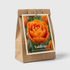 Tulpan Valdivia 7-pack