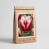 Tulpan Quatar 7-pack
