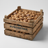 Crocus Orange Monarch löklåda – Svedberga Plantskola