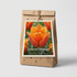 Tulpan Louvre Orange 7-pack