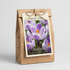 Krokus Pick Wick 10-pack