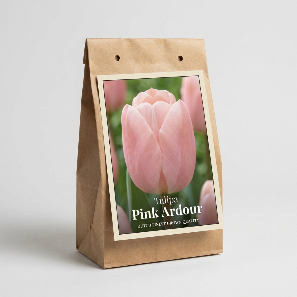 Tulpan Pink Ardour 7-pack
