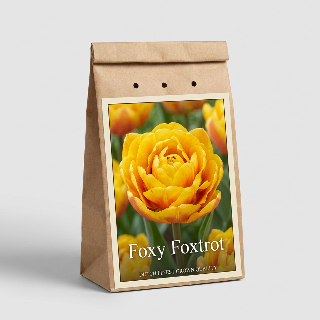 Tulpan Foxy Foxtrot 7-pack