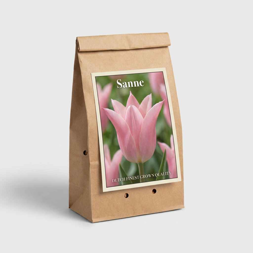 Tulpan Sanne 7-pack