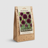 Allium Atropurpureum 5-pack