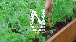 Vintermorot Flakkée 2