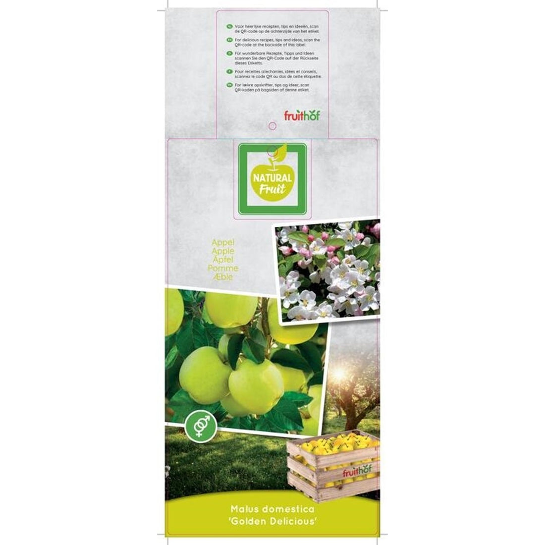 Äpple – Malus domestica &