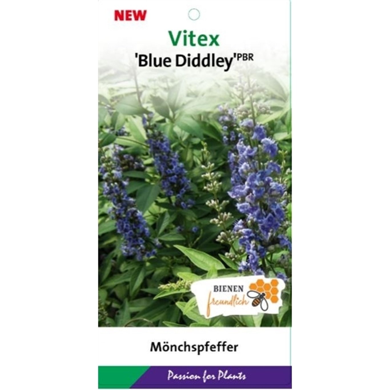 Munkpeppar – Vitex agnus-castus 'Blue Diddley' - C5