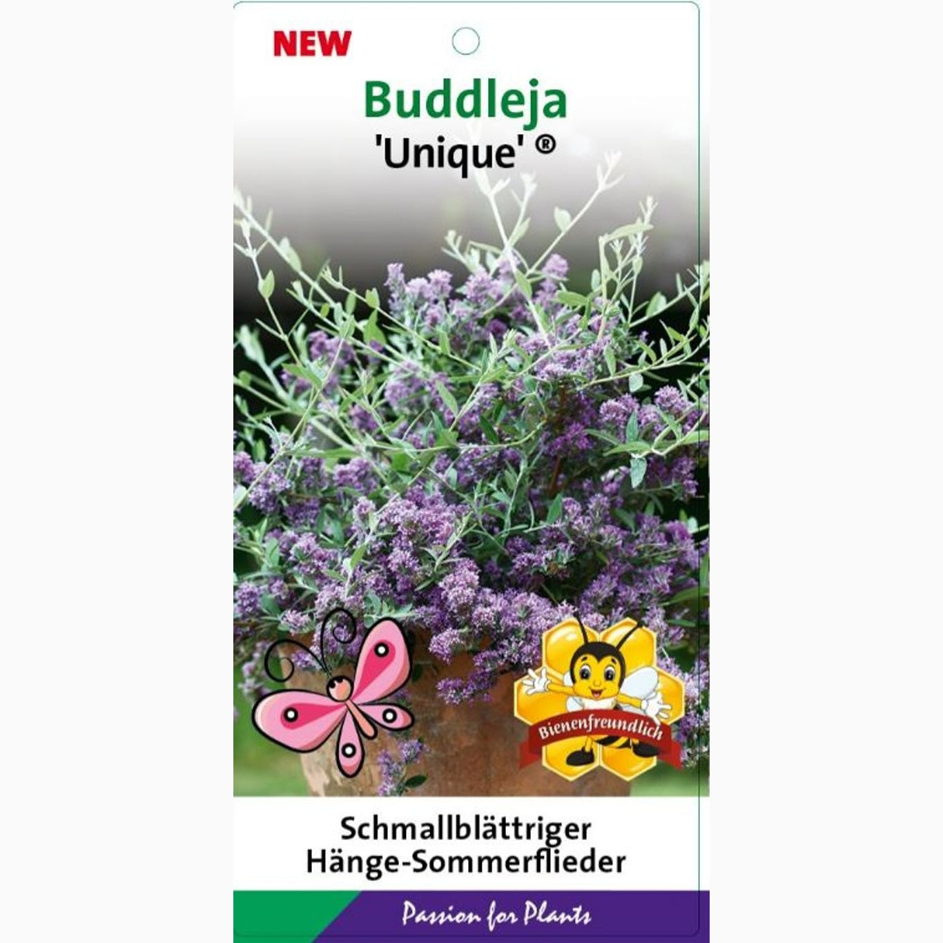 Sommarlilja – Buddleja alternifolia 'Unique' - C5 60-80 CM