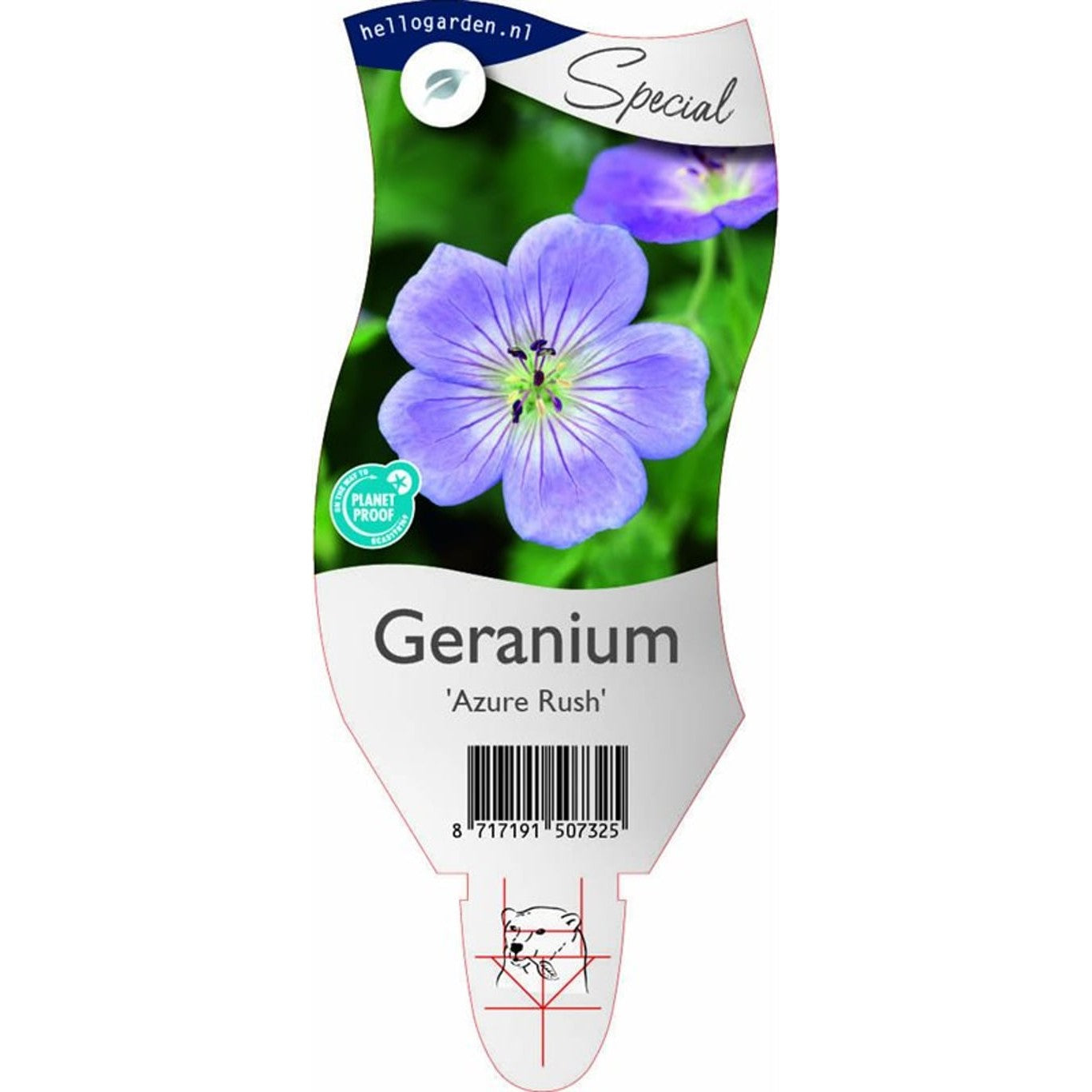 Näva – Geranium 'Azure Rush' - P11