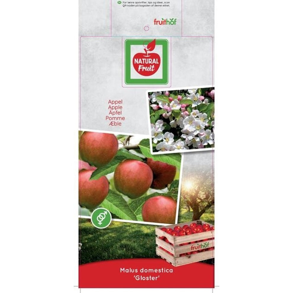 Äpple – Malus domestica &