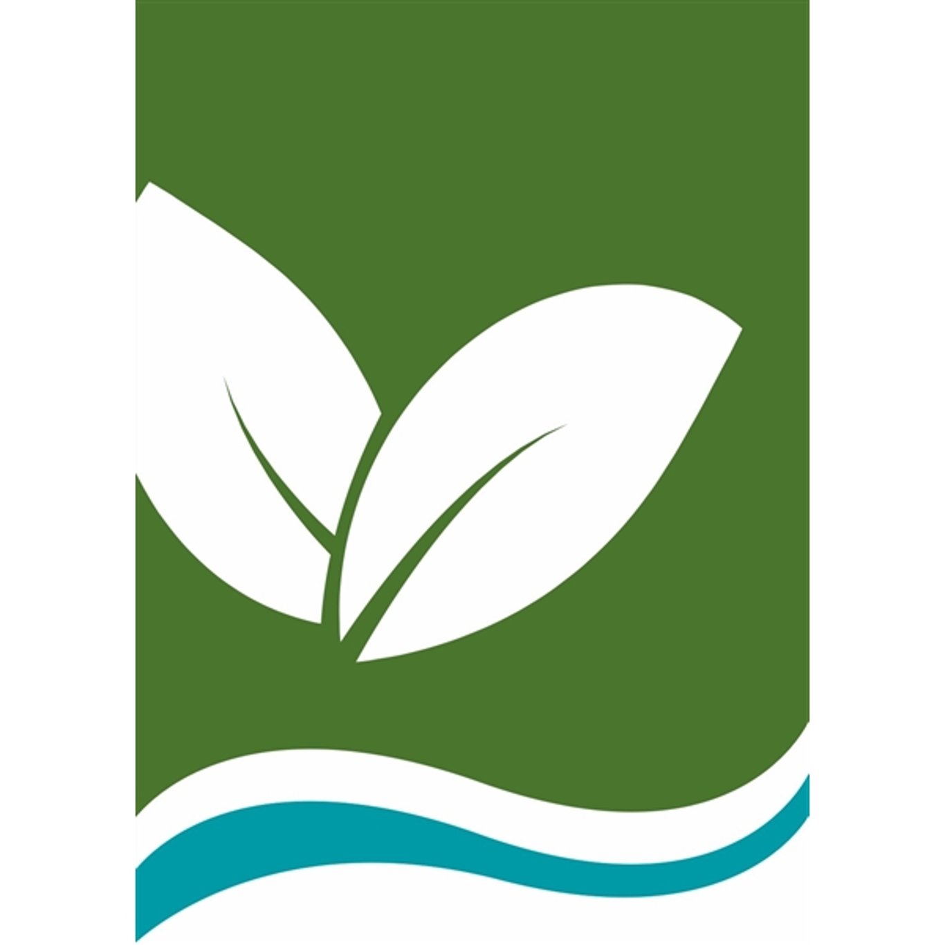 Brakved – Frangula alnus 'Fine Line'® - C5 60/+ CM