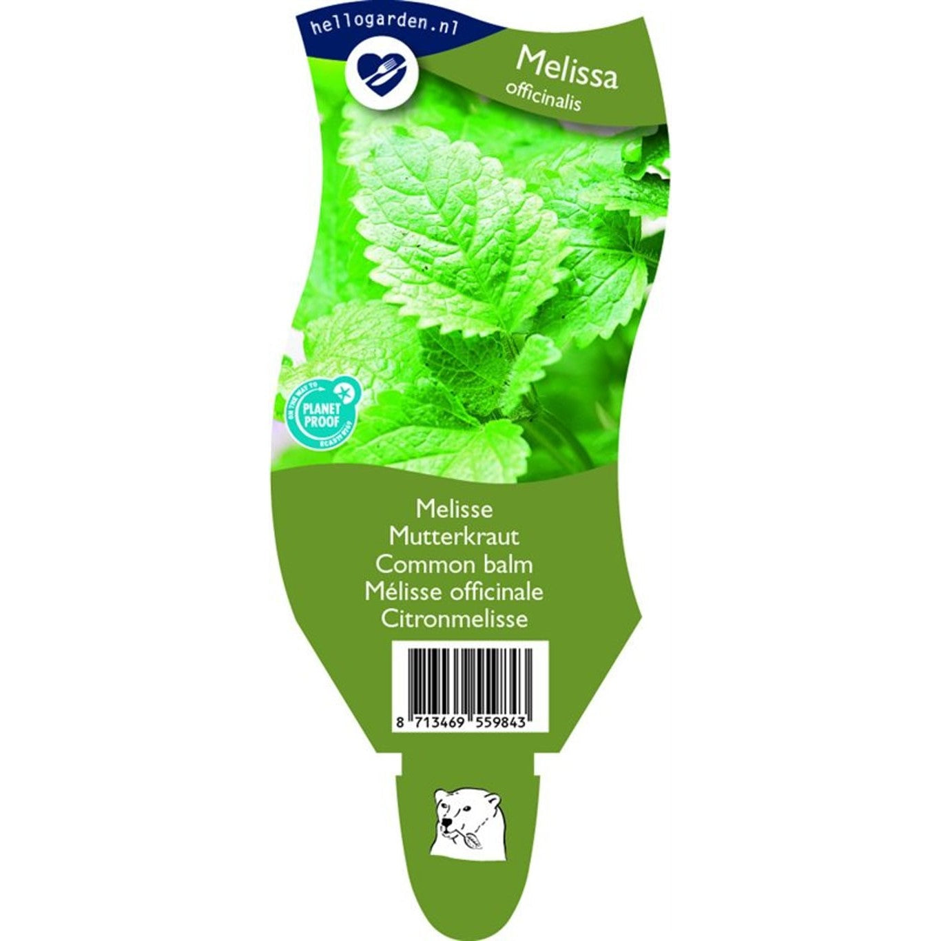 Citronmeliss – Melissa officinalis - P11