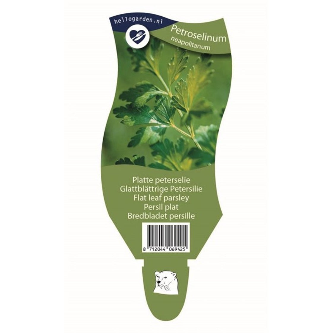 Persilja – Petroselinum crispum neapolitanum - P11