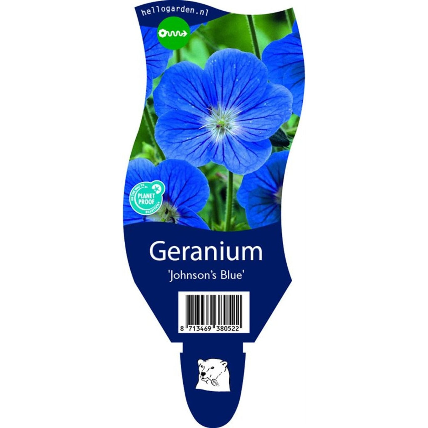 Näva – Geranium 'Johnson's Blue' - P11