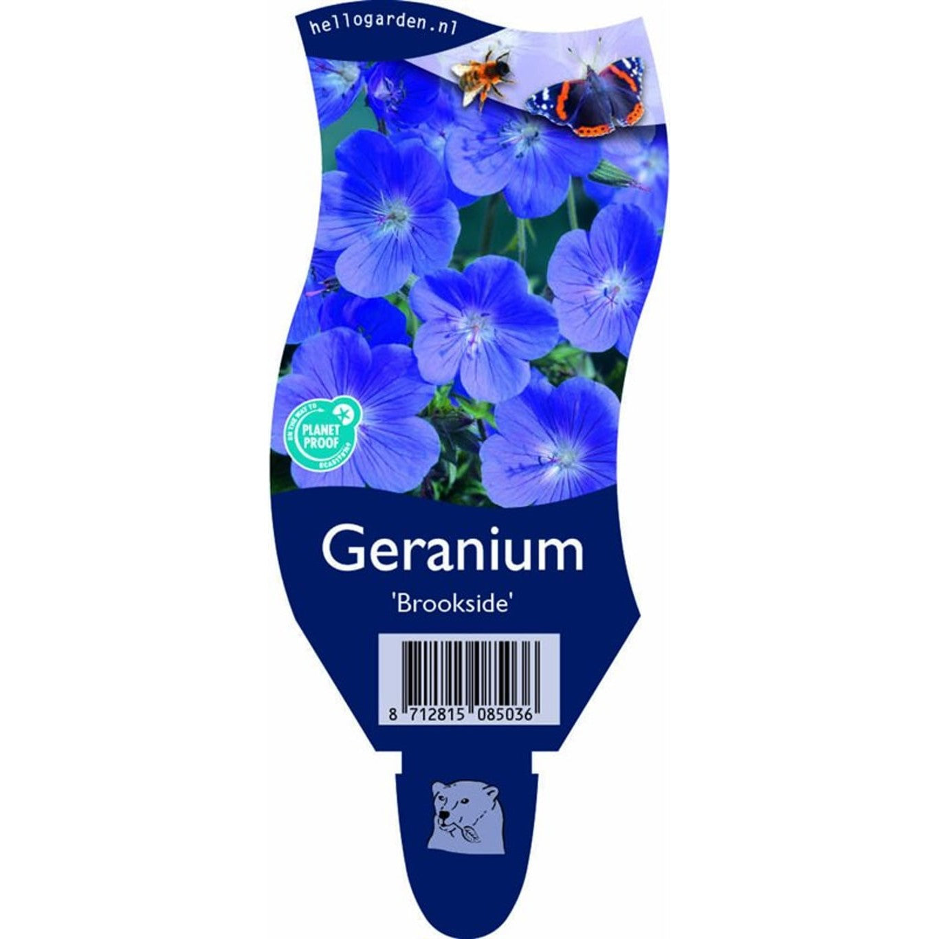 Näva – Geranium 'Brookside' - P11