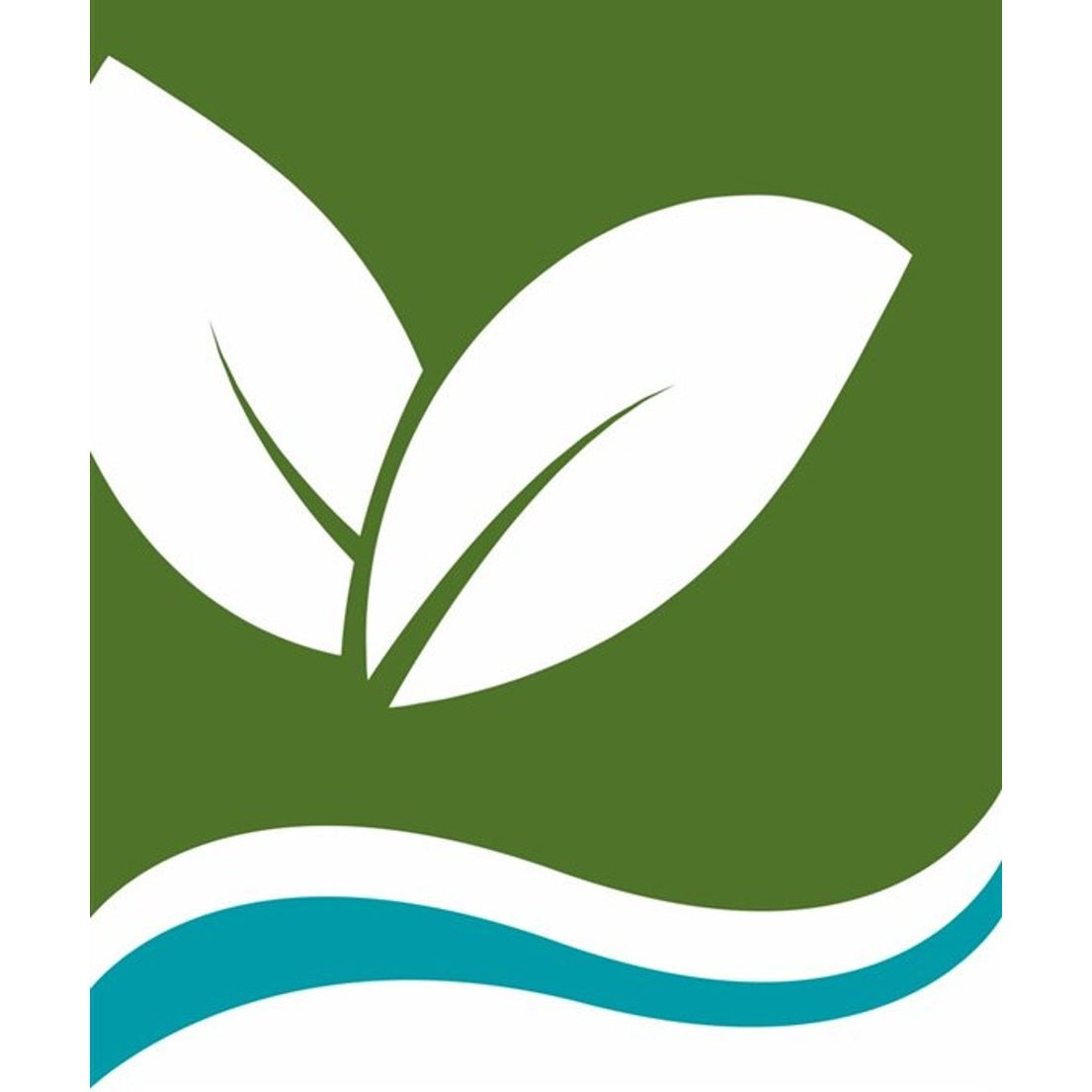 Glansmiskantus – Miscanthus sinensis 'Adagio' - C5