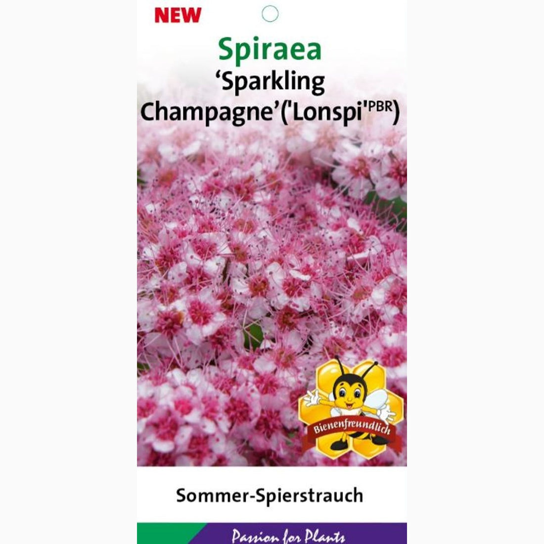 Praktspirea – Spiraea &