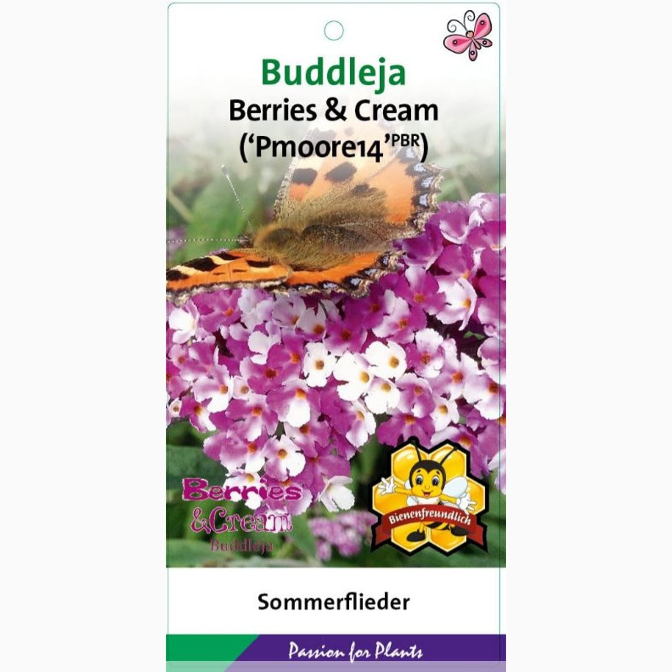 Sommarlilja – Buddleja d. 'Berries & Cream' - C5