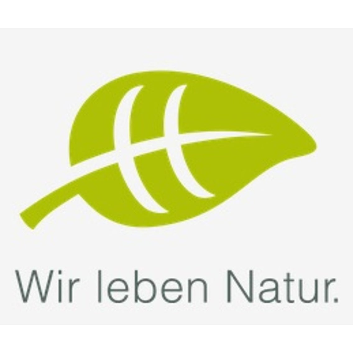 Valnöt – Juglans regia - 150 CM Stem C20