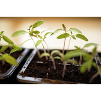 MINIDRIVHUS, 57x24 cm m. 48 krukor