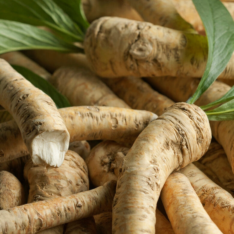 Pepparrot-Armoracia 1-pack