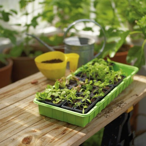 MINIDRIVHUS, 57x24 cm m. 48 krukor