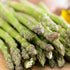 Sparris-Asparagus Viridis 2-pack