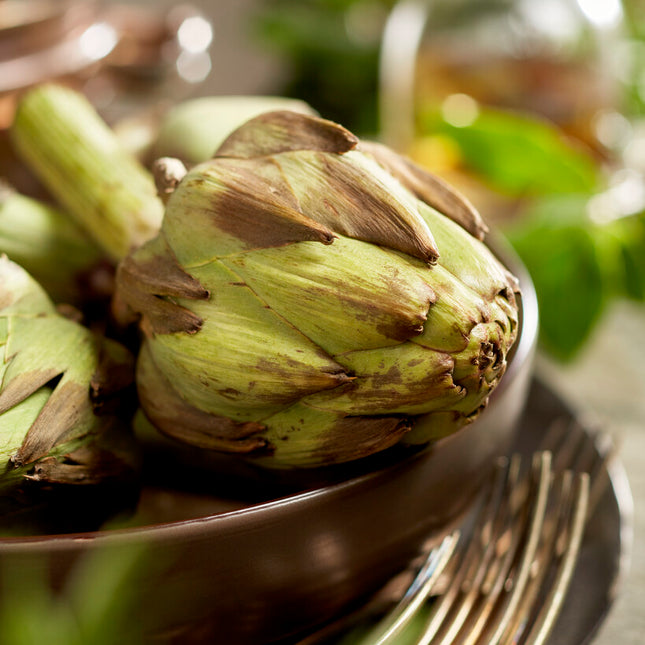 Kronärtskocka-Cynara Artichoke 2-pack