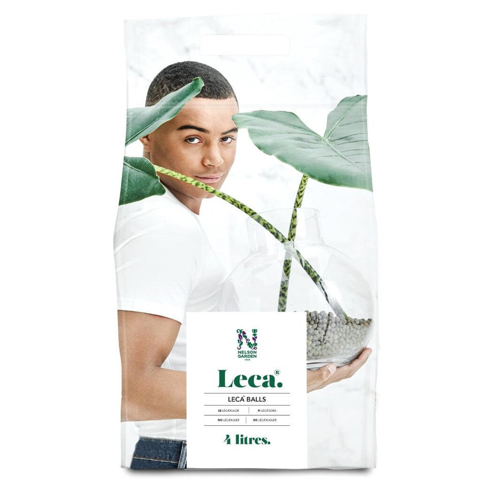 Lecakulor 4L