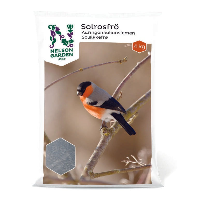 Solrosfrö strimmigt 4kg