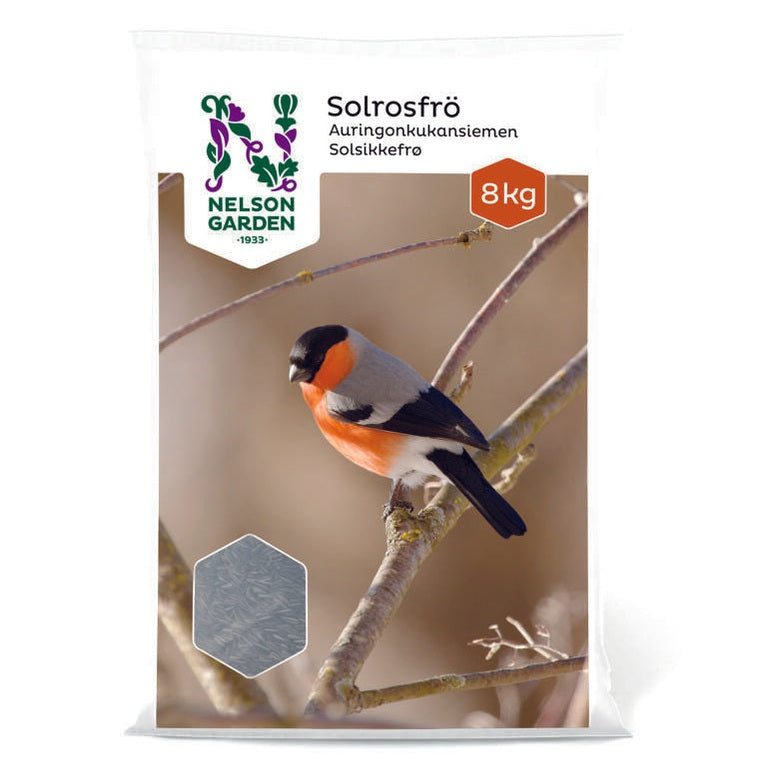 Solrosfrö strimmigt 8kg 1/1P