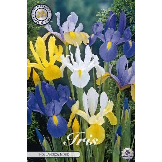 Iris Mixed 15-pack