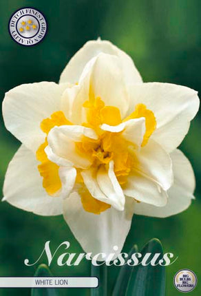 Narcissus White Lion 5-pack