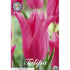 Tulpan Pretty Love 7-pack