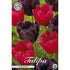Tulpan Moneymaker 10-pack