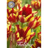 Tulpan Wonder Club 7-pack
