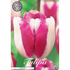 Tulpan Hotpants 10-pack