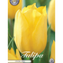 Tulpan Strong Gold 10-pack