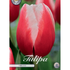 Tulpan Timeless 7-pack
