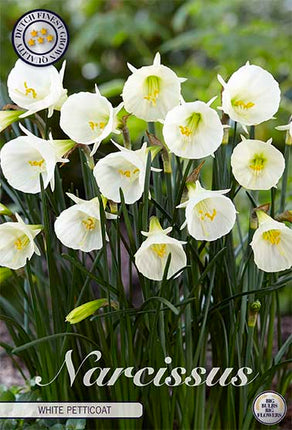 Narcissus White Petticoat (NEW) 7-pack
