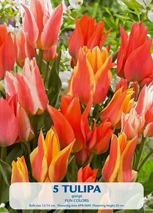 Tulip Fun Colors 10 kpl